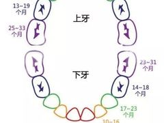-团圆口腔·种植中心(锦江院区)