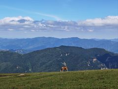 -灵山