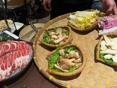 -滇野云南野生菌餐厅(陕西南路店)