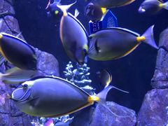 -成都浩海立方海洋公园