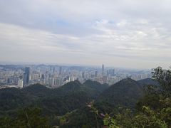 -黔灵山公园