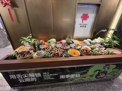 -滇铺子·云南特色菜·第九届野生菌美食节(东风东路c86店)