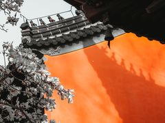 -灵谷景区