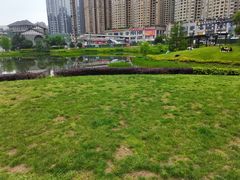 -花果园湿地公园