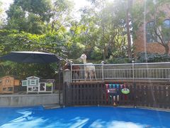 -上海崇明金茂凯悦酒店