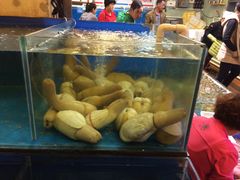 -御唐府海珊瑚主题餐厅