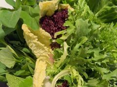 -额尔敦传统涮(公园西路店)