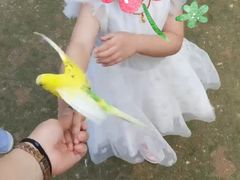 -呀路古热带植物园