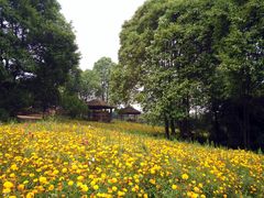 -保利石象湖景区