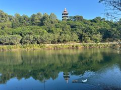 -道合堂·中式按摩·spa(民治店)