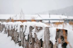 -大秃顶子山(雪谷店)