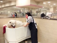 -多卡布奇宠物生活馆(上林世家店)