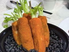 -丁老爷子苏香圆