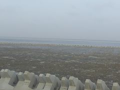 -南汇嘴观海公园