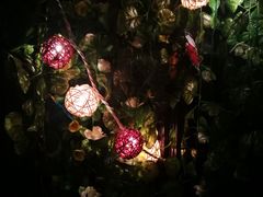 -ECHO 三毛酒吧