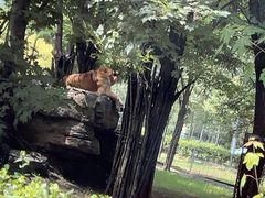 -秦皇岛野生动物园