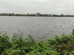 -天下先生态园农庄CS团建露营地(海鸥岛店)