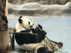 -无锡动物园·太湖欢乐园
