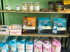 -圣宠动物医院·犬猫专科·影像中心·外科中心