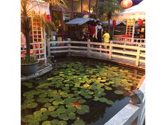 -大鹅岛绿色生态美食园
