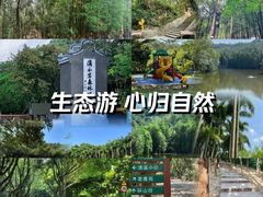 -滴水岩森林公园