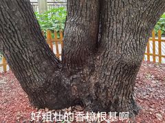 -徐家汇源景区-衡山公园