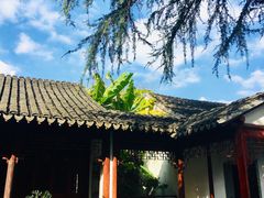 -秋霞圃