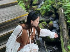 -五营国家森林公园