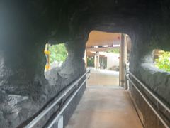 -新加坡飞禽公园