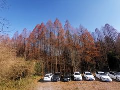 -山王坪喀斯特国家生态公园