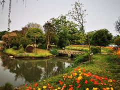 -鹅湖玫瑰文化园