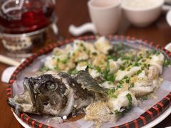 竹笙肠粉蒸老虎斑-饭聚公馆·精品顺德菜(温德姆店)
