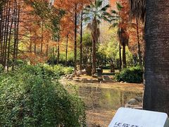 -苏州河梦清园环保主题公园