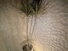 -Laures·月桂西班牙碳烤餐厅(十尚坊店)