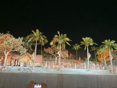-三亚红色娘子军演艺公园景区