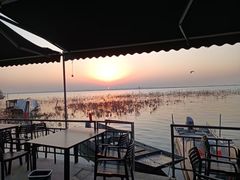 -渔娘蟹庄(阳澄湖莲花岛店)