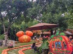 -HERRE·FARM 赫尔露营农场·团建聚会包场