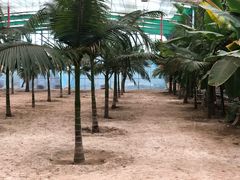 -第五季龙水凤港生态露营农场