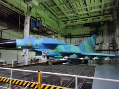 -泰达航母主题公园