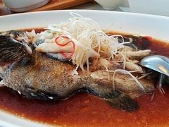 东星斑鱼-许仙楼餐厅