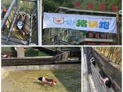-栾川竹海野生动物园