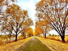 -野鸭湖国家湿地公园