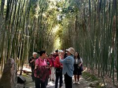 -林曦明现代剪纸艺术馆