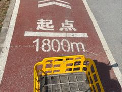 -绿堤公园
