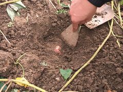 -乡乐园蟹庄·阳澄湖农家乐