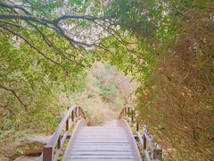 -桃花岛景观公园