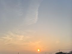 -西京湾花海