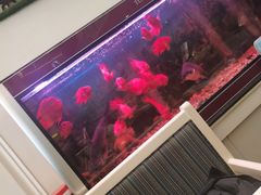 -阿拉丁新疆风味餐厅·清真(罗廊巷店)