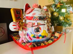 -JNK皮肤管理中心