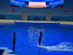 -石家庄海洋公园